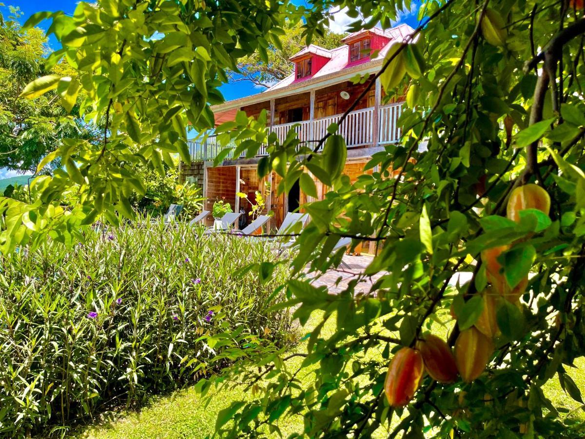 Habitation Caféière Samana Beauséjour Maison d'hôtes Pointe-Noire